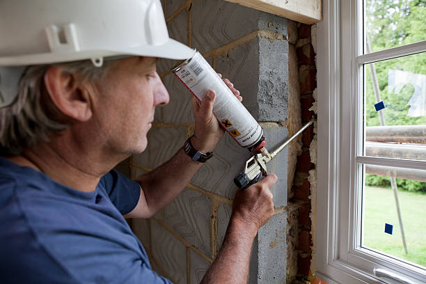 Best Home Insulation Services  in USA